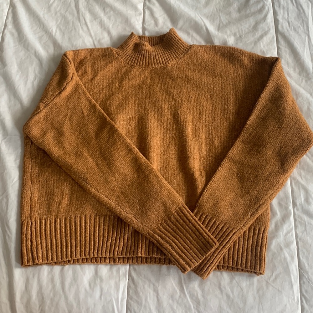 Brown turtleneck sweater
